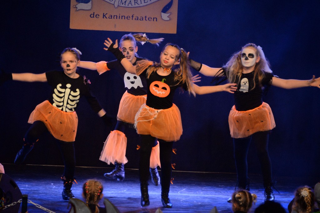 ../Images/Dansmariekefestival 2019 337.jpg